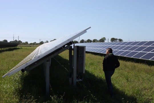 Ola Wilhelmsson, projektledare för solcellsparken Solsidan i Varberg, kontrollerarelproduktionen